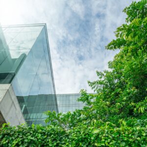 Lee más sobre el artículo El sector inmobiliario y la sostenibilidad: construyendo un futuro más verde