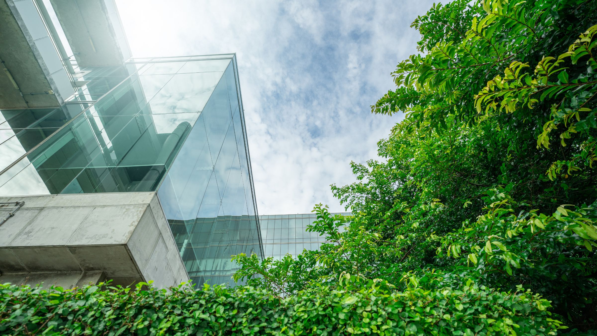 En este momento estás viendo El sector inmobiliario y la sostenibilidad: construyendo un futuro más verde